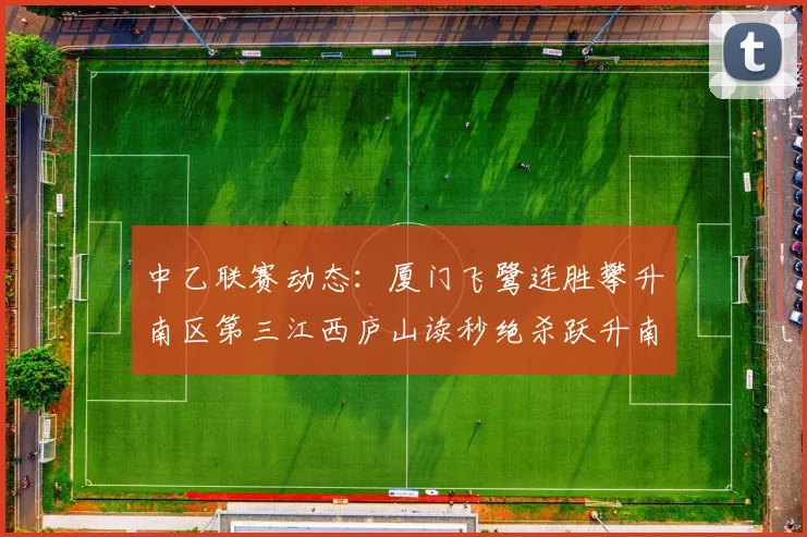 中乙联赛动态：厦门飞鹭连胜攀升南区第三江西庐山读秒绝杀跃升南区第四